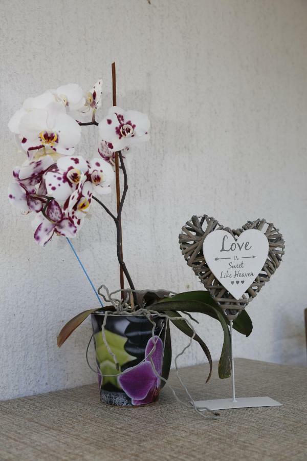 Apartment Leonora Vodice Dış mekan fotoğraf